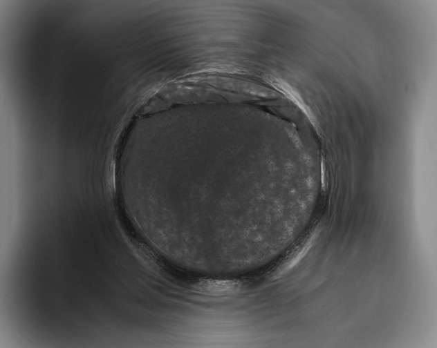 X0000096140205200802151341