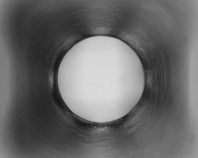 X0000096140206200802151341