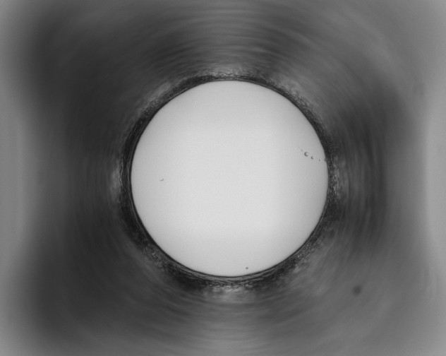 X0000096140208200802151341