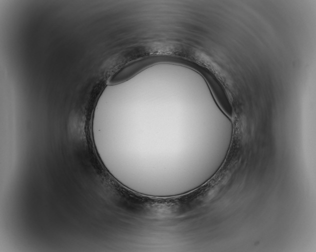 X0000096140209200802151341