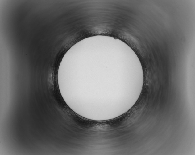 X0000096140210200802151341