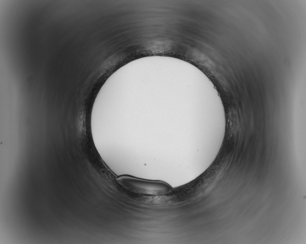 X0000096140212200802151341
