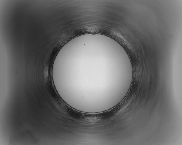 X0000096140213200802151341