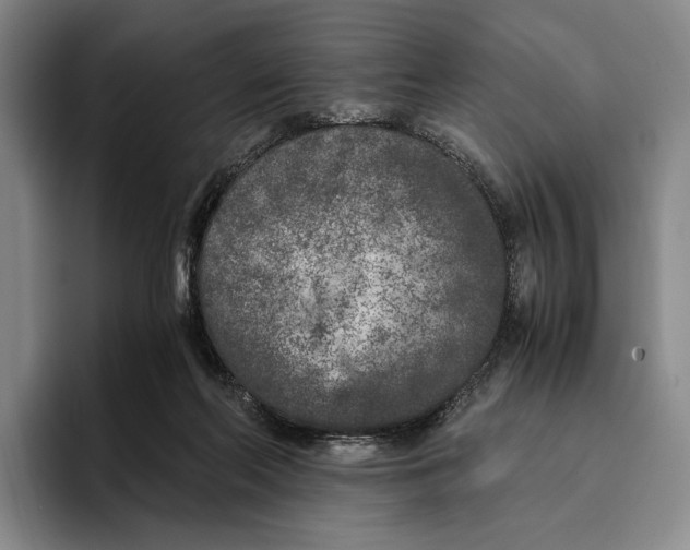X0000096140214200802151341