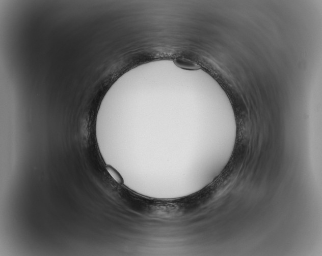 X0000096140215200802151341