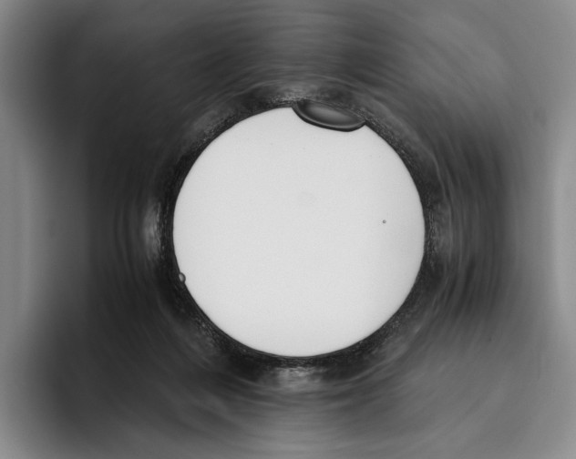 X0000096140216200802151341
