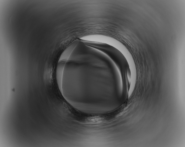 X0000096140219200802151341