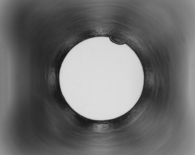 X0000096140220200802151341