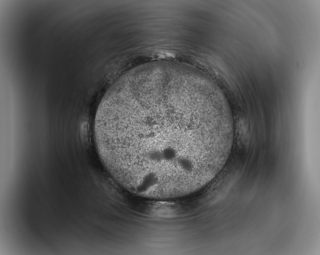 X0000096140222200802151341