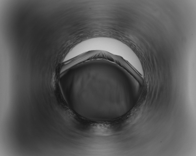 X0000096140223200802151341