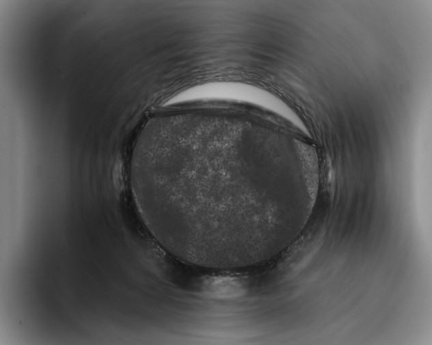 X0000096140224200802151341