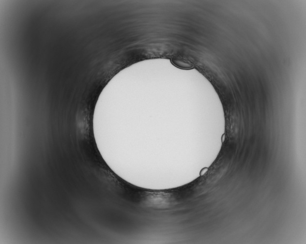 X0000096140226200802151341