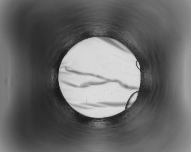 X0000096140228200802151340