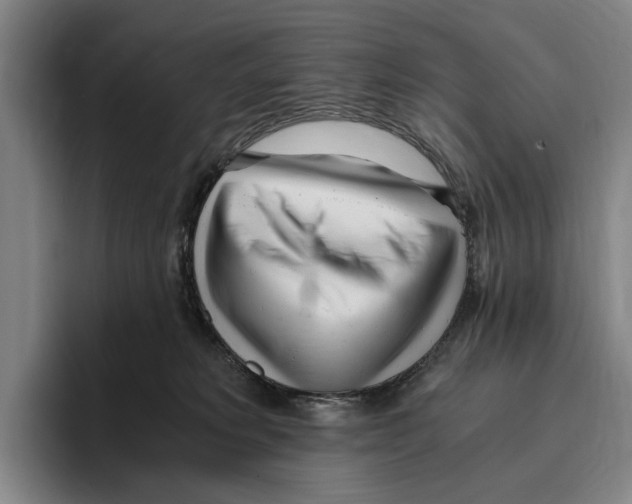 X0000096140229200802151340