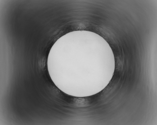 X0000096140230200802151340