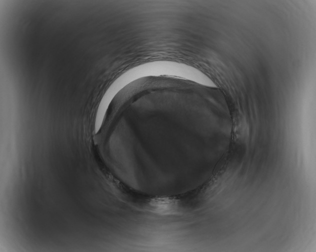 X0000096140231200802151340