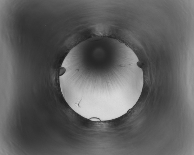X0000096140233200802151340