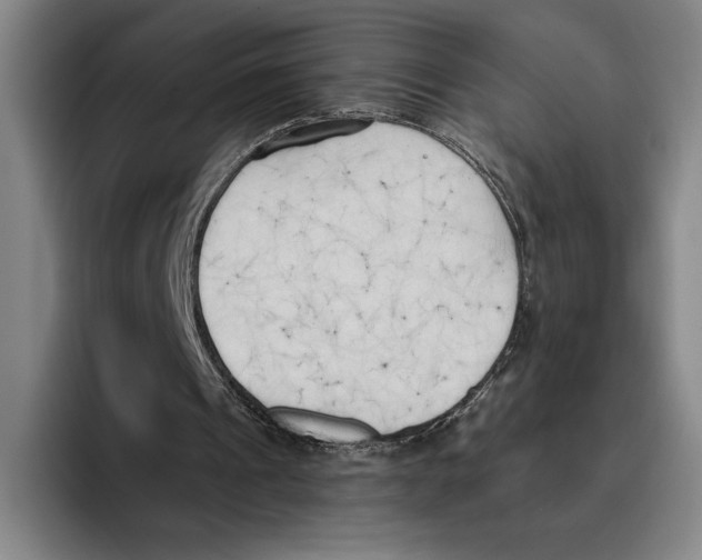 X0000096140241200802151340
