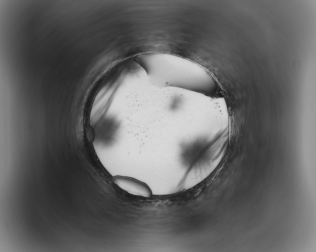 X0000096140243200802151340