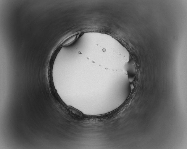 X0000096140244200802151340