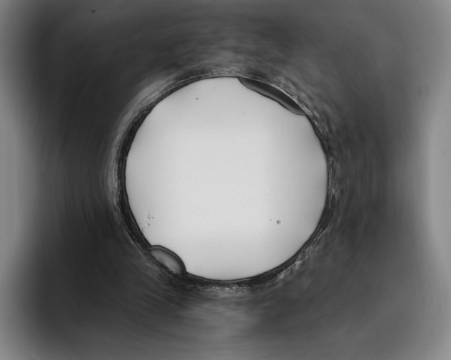 X0000096140245200802151340