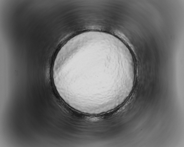 X0000096140249200802151340