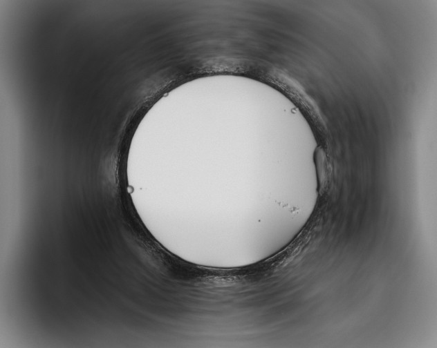 X0000096140250200802151340