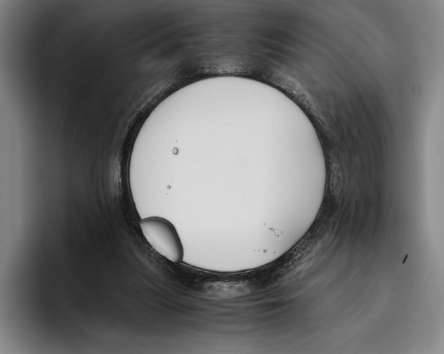 X0000096140251200802151340