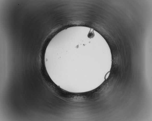 X0000096140256200802151340