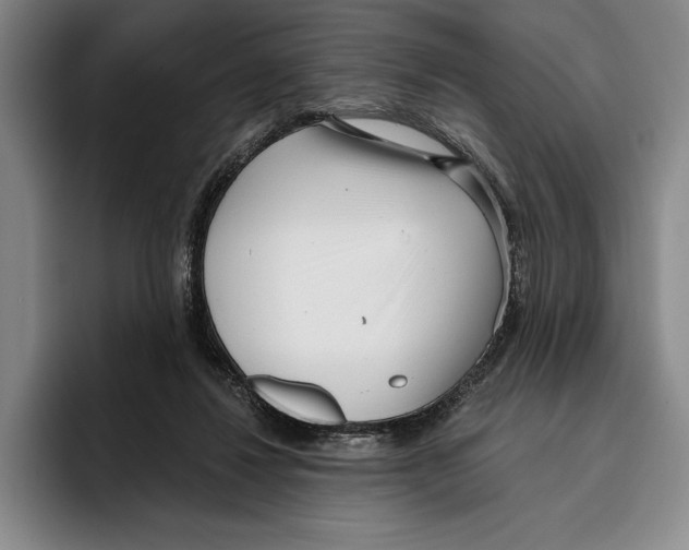X0000096140260200802151340