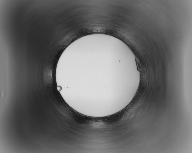 X0000096140262200802151340
