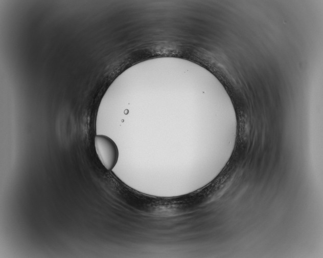 X0000096140263200802151340