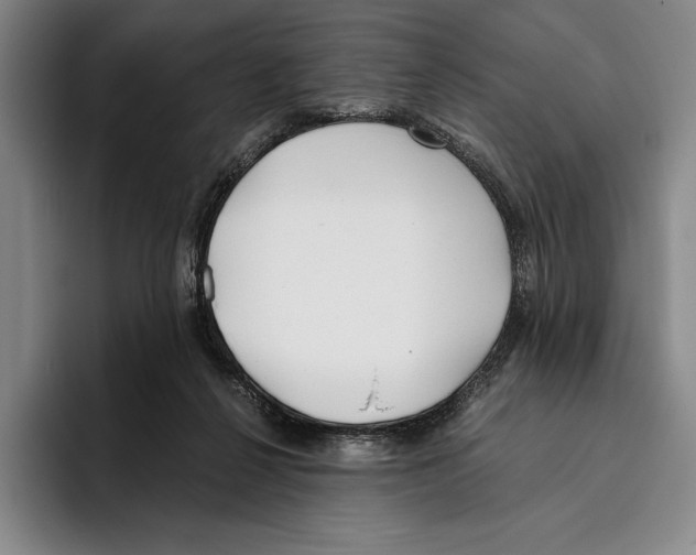 X0000096140264200802151340