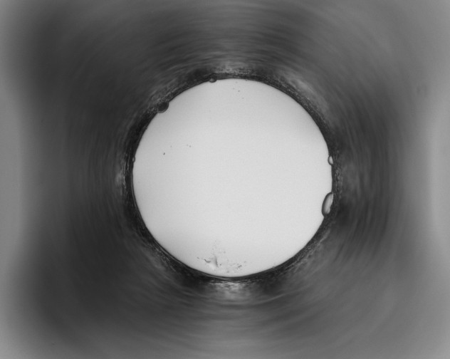 X0000096140265200802151340