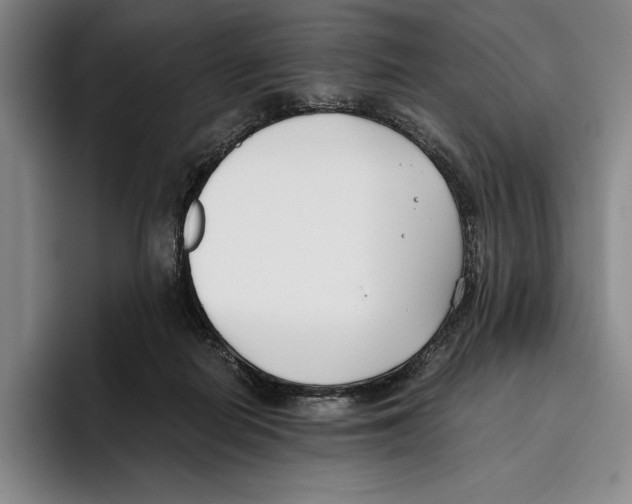 X0000096140266200802151340