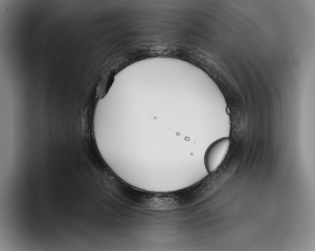 X0000096140270200802151340