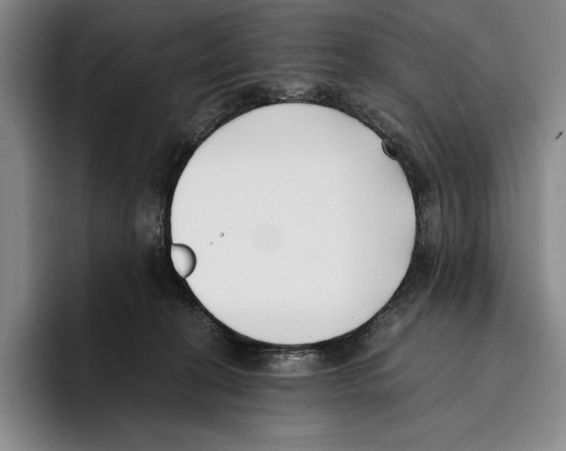 X0000096140274200802151340