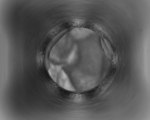 X0000096140276200802151340