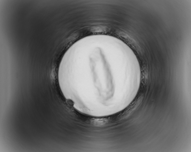 X0000096140277200802151340