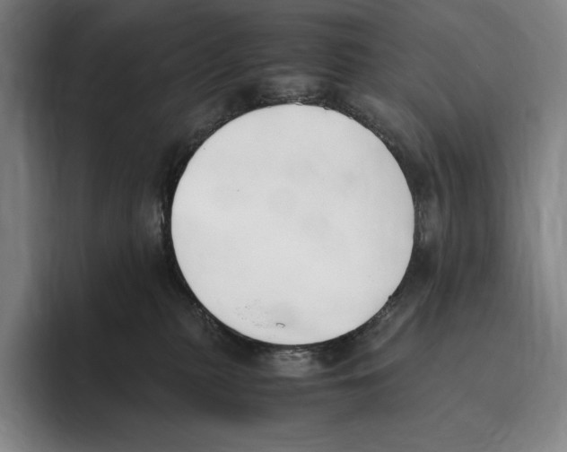 X0000096140279200802151340