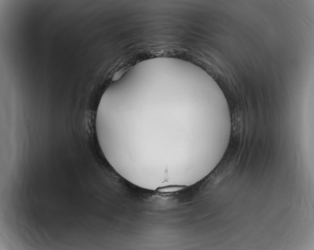 X0000096140280200802151340