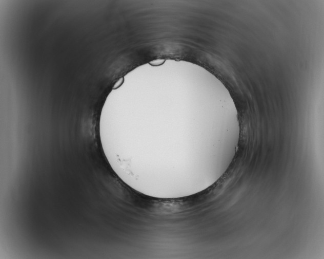 X0000096140282200802151340