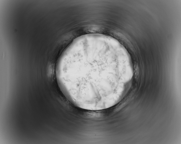 X0000096140284200802151340