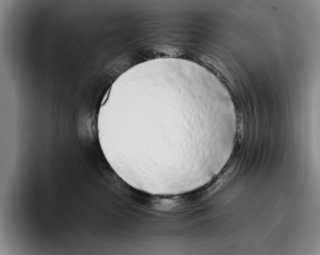 X0000096140285200802151340