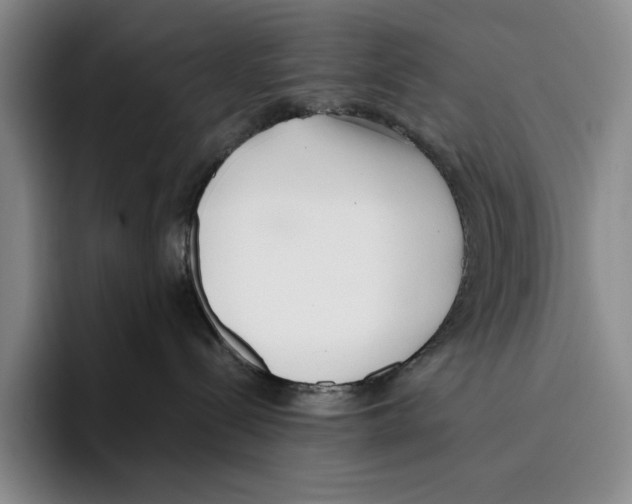 X0000096140288200802151340