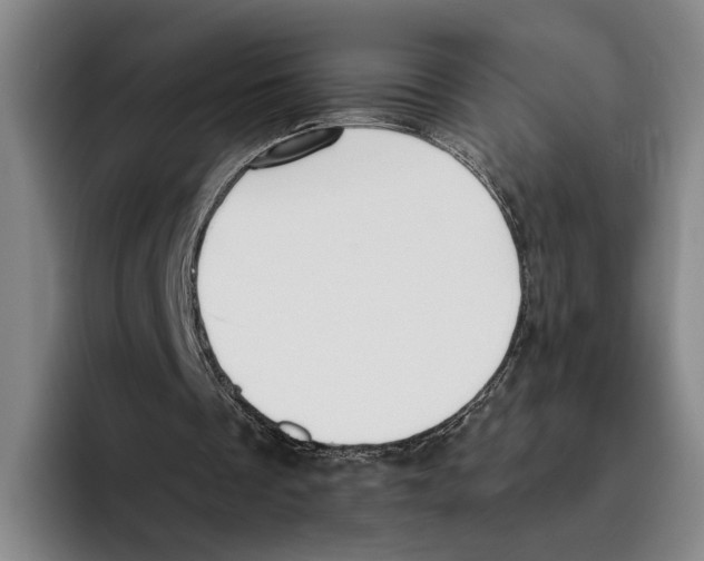 X0000096140289200802151340