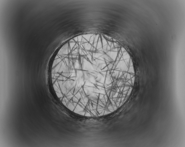 X0000096140290200802151340