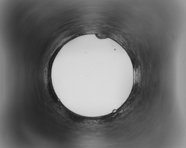 X0000096140291200802151340