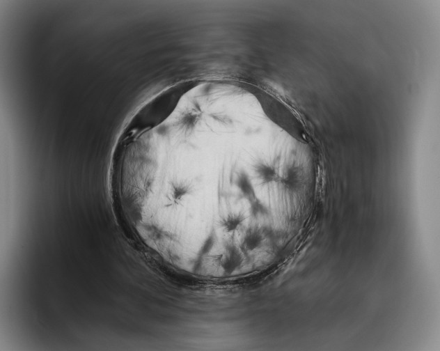 X0000096140292200802151340
