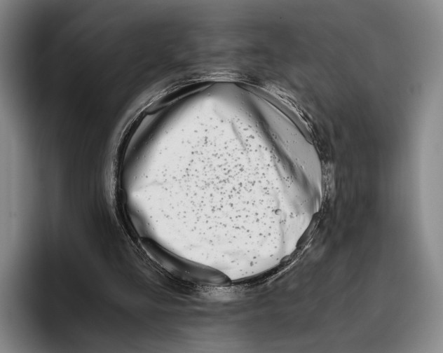 X0000096140293200802151340